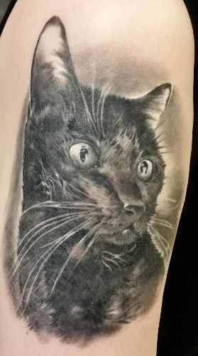 Sternenkatze Lea
