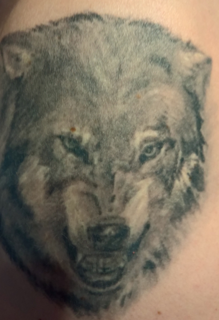 Wolf