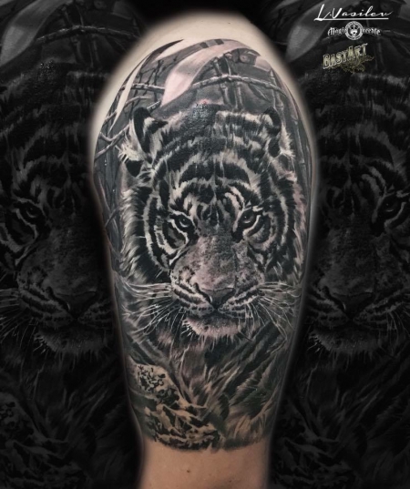 Tiger 