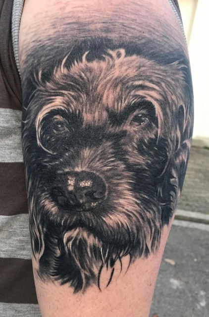 Mein Hund