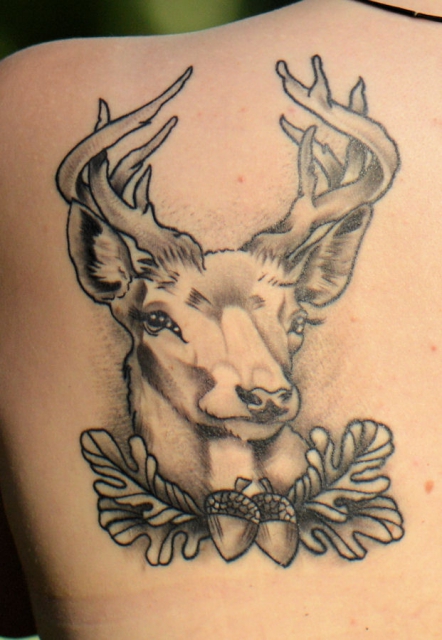 Hirsch 