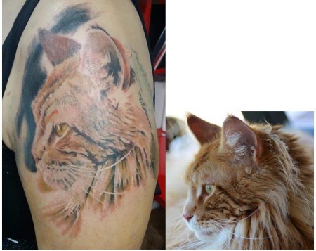 Linker Arm, der Anfang ist gemacht