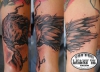 Raven 
