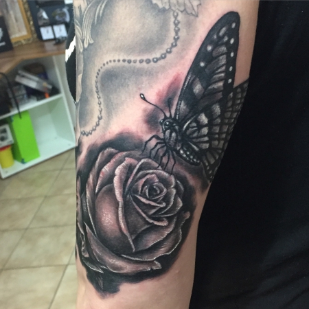 rose and butterfly 