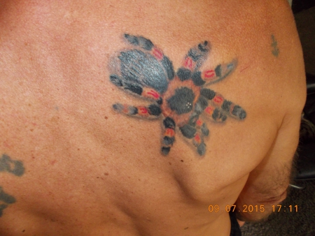 leopard-Tattoo: Erster Teil vom Regenwald