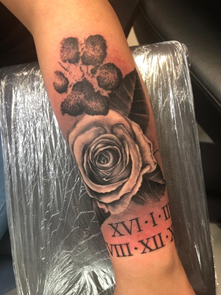rose 