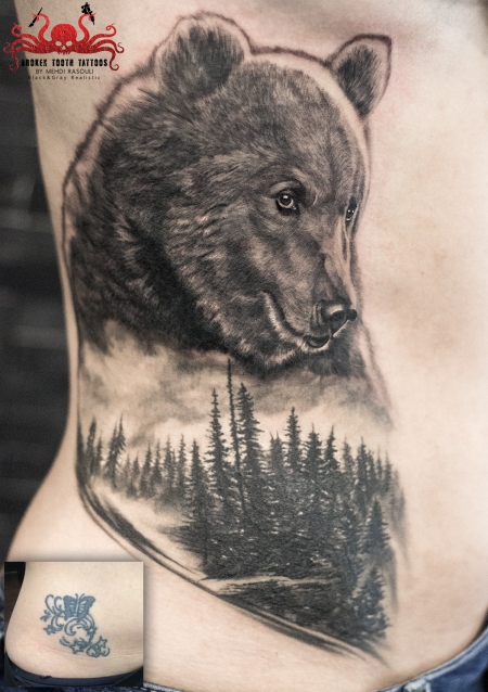 Braunbär über Coverup