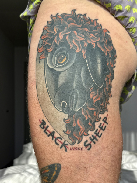 Black sheep 