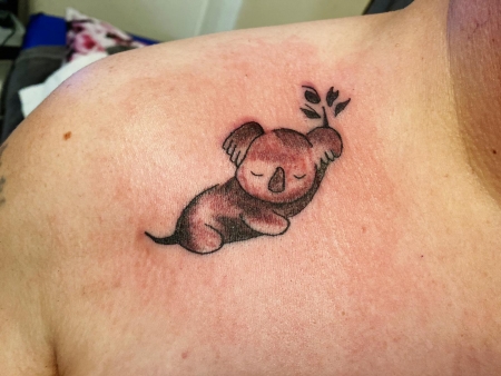 Mein Koala 