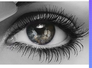 Vorlage Auge 