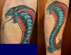 Meine Cobra