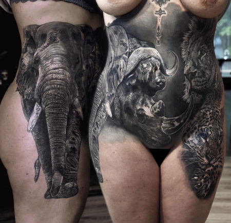Cover Up-Africa Animals