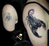 Skorpion cover up