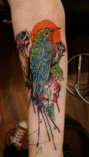 Kolibri mit Farbexplosion