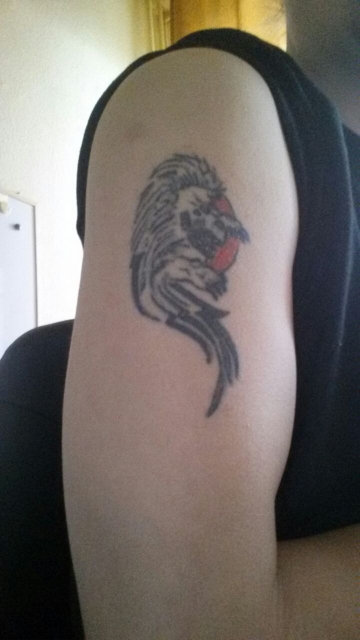 Vor dem Cover-up