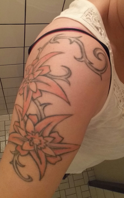 Undefinierbare Blütengurke auf dem Arm