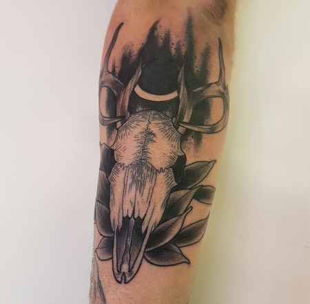 Toter Hirsch ist tot