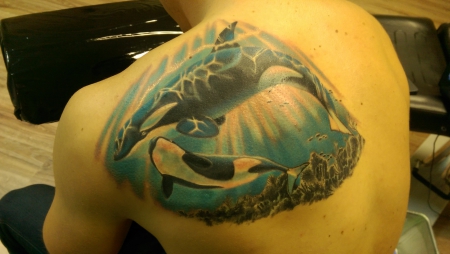 Orcas Ocean 