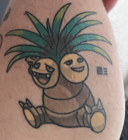 Gotta Catch 'Em All - Pokémon Kokowei