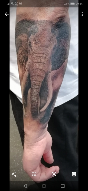 African Sleeve