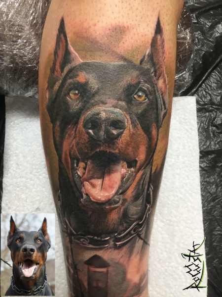 Dobermann