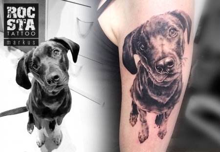 Unterarm Tattoo Für Verstorbenen Hund