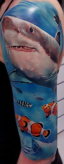 Shark 