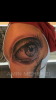 Auge 