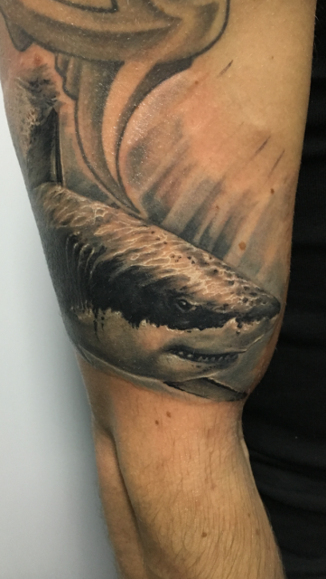 Unterwasser Shark