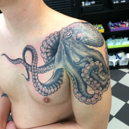 oktopus