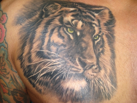 tiger-Tattoo: Black and White Tiger