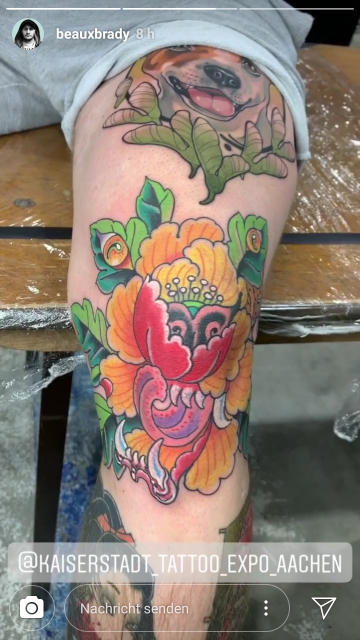 Tiger/Pfingstrose
