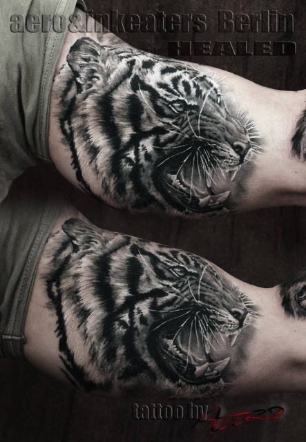 Healed tattoo-Tiger 