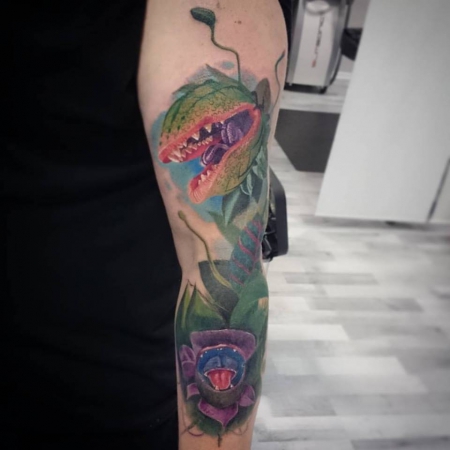Audrey 2 - Cover-Up