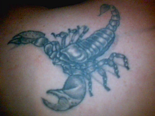 Scorbion