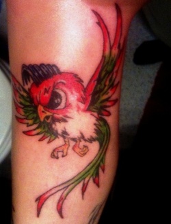 Mein bunter Vogel
