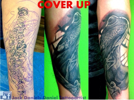 lizard cover up