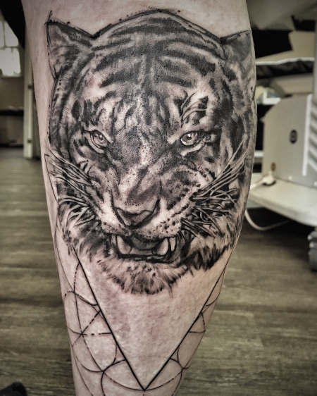 Tiger Abstrakt