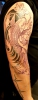 Japan Koi sleeve 