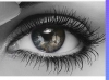 Vorlage Auge 