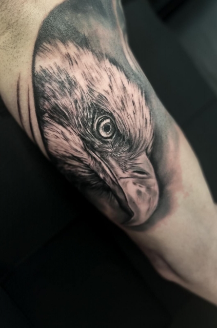 adler-Tattoo: Adler Tattoo am Innenarm