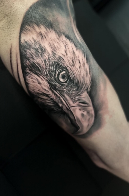 Adler Tattoo am Innenarm