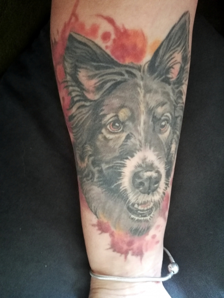 Mein Hund Mali