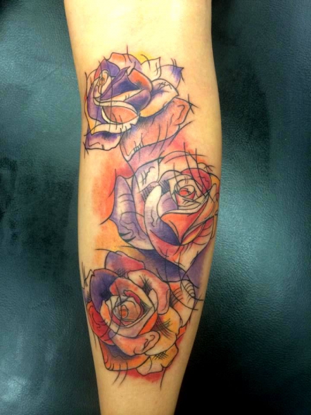 Color roses Toni ex