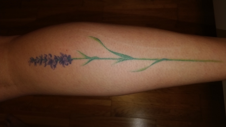Lavendel