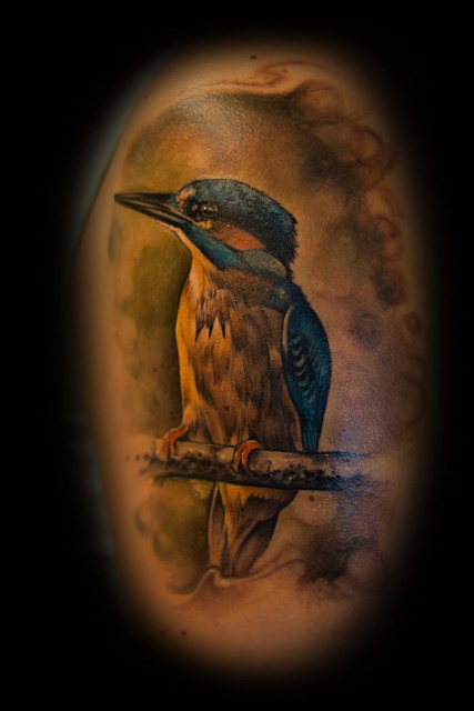 Eisvogel
