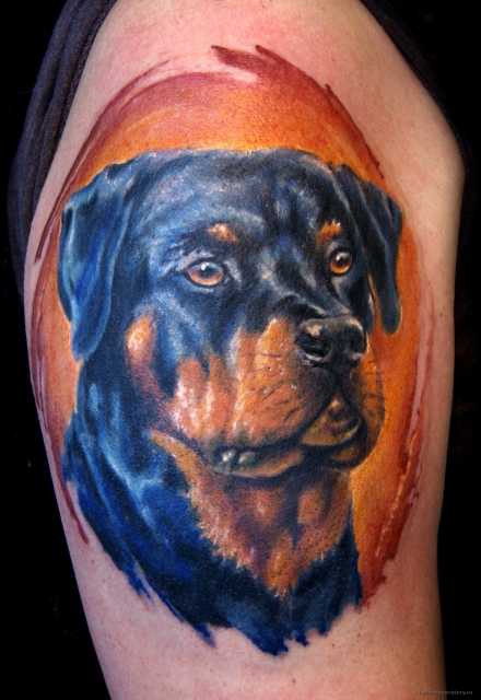 rottweiler