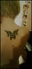 (Tribal)-Butterfly