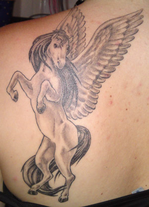 Mein Pegasus