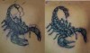 ein cover up noch nicht fertig